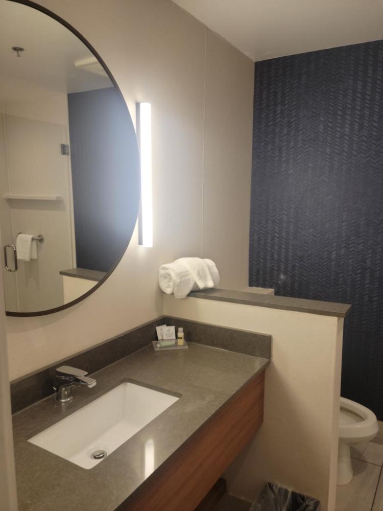 Executive King Suite with Sofa Bed interior